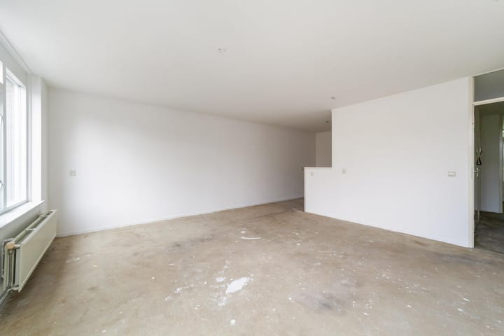 Photo 6 of Ridderspoor 40