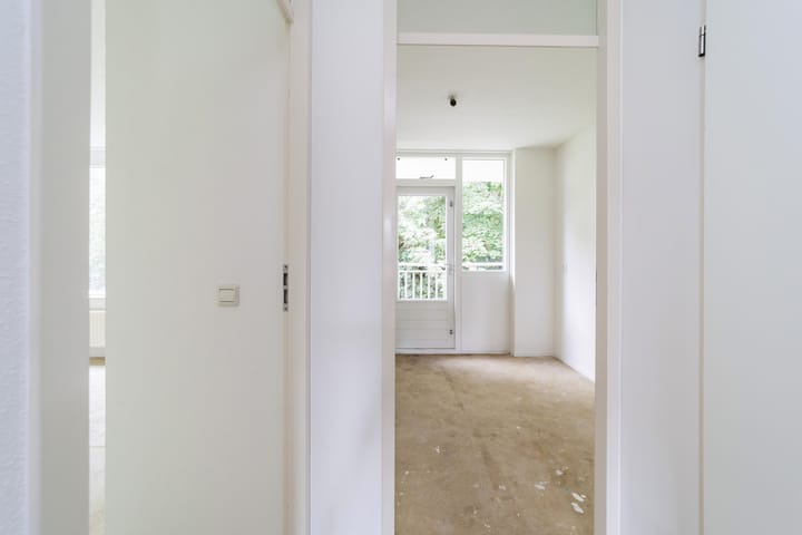 Photo 10 of Ridderspoor 40