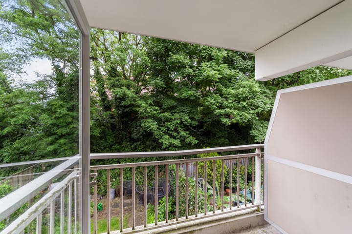 Photo 12 of Ridderspoor 40