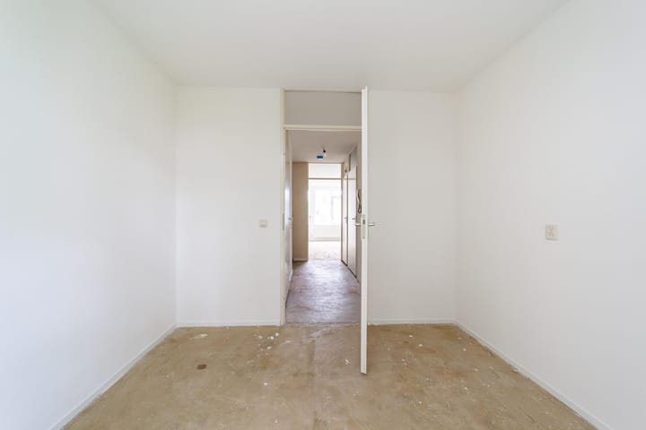 Photo 14 of Ridderspoor 40