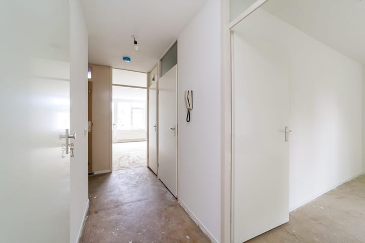 Photo 15 of Ridderspoor 40