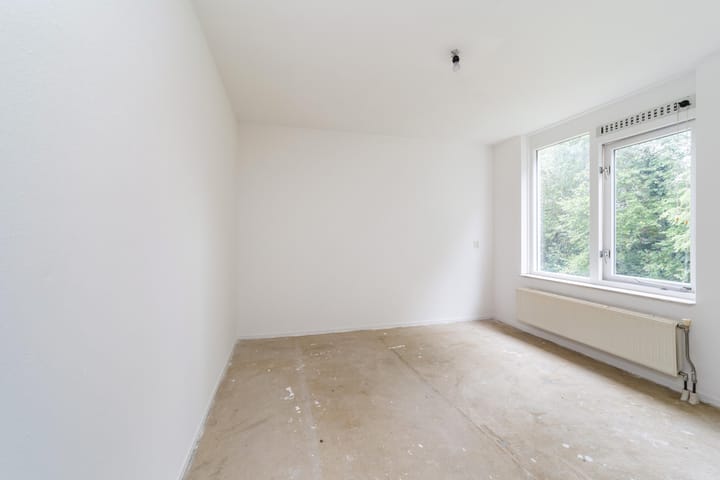 Photo 16 of Ridderspoor 40