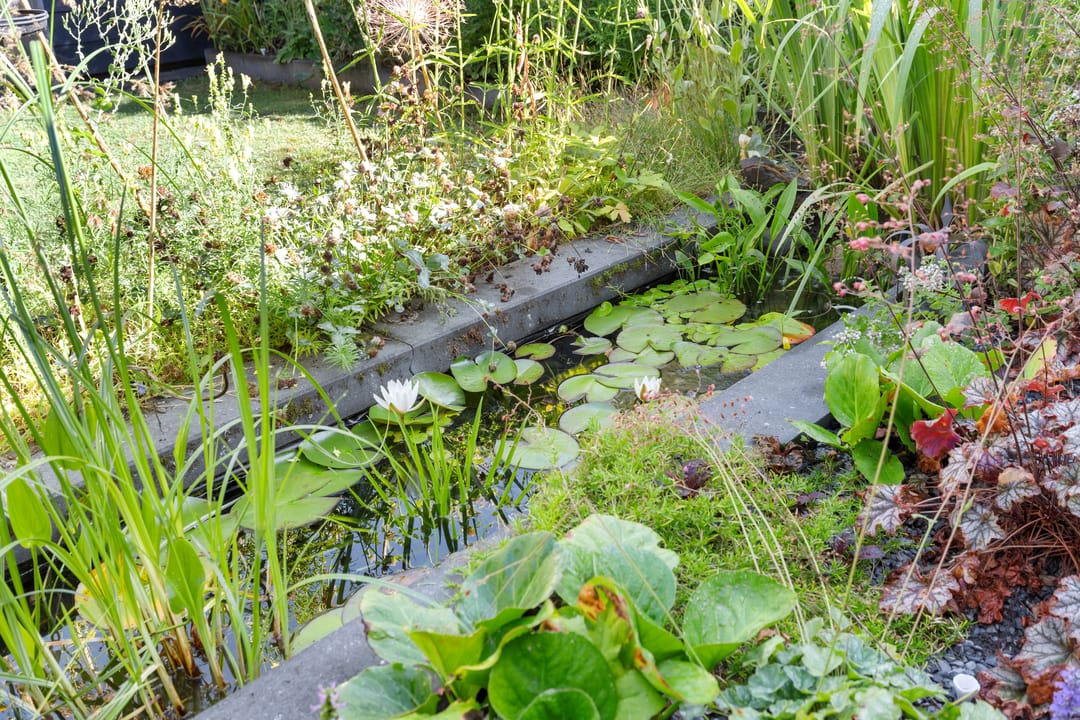 Foto 37 van Brucknerlaantje 59