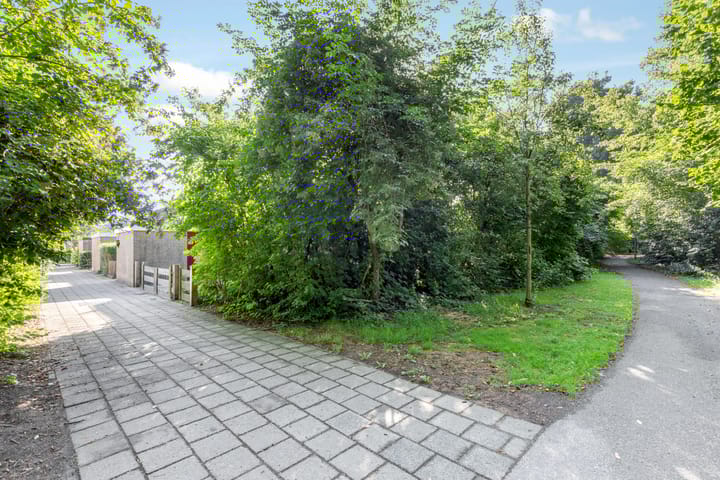 Foto 39 van Brucknerlaantje 59