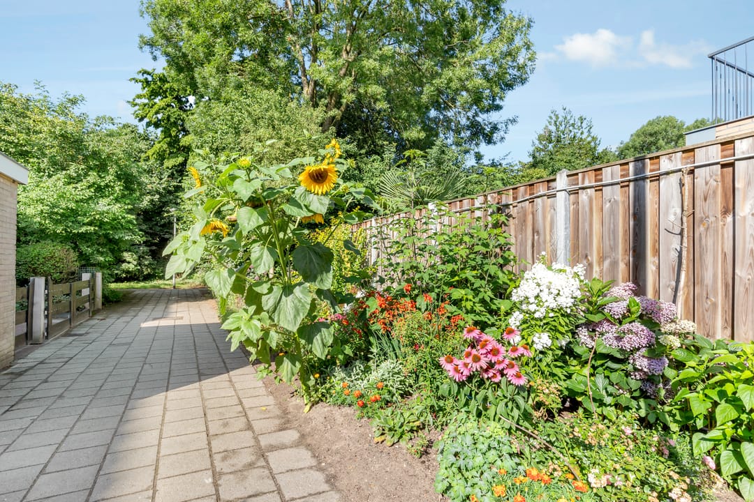 Foto 38 van Brucknerlaantje 59