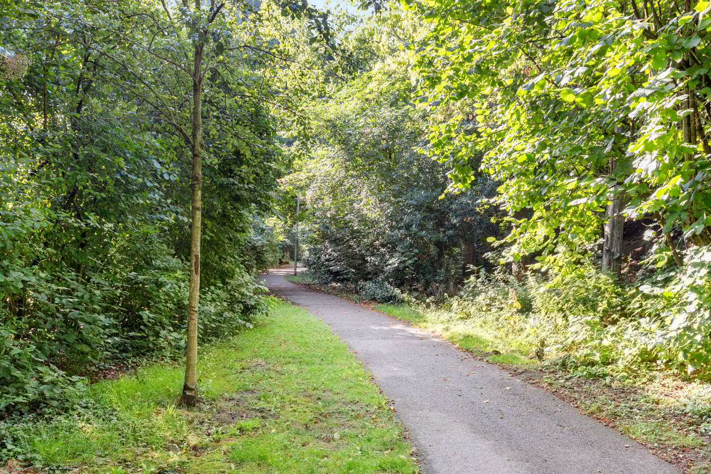 Foto 40 van Brucknerlaantje 59