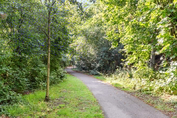 Foto 40 van Brucknerlaantje 59