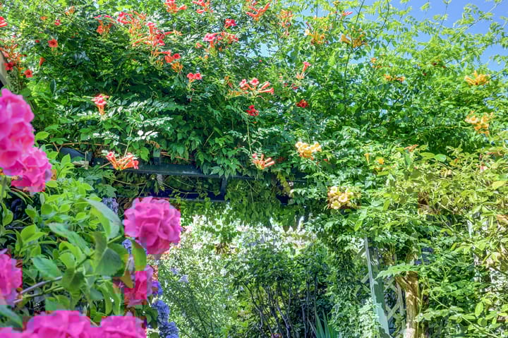 Foto 33 van Hunenborgstraat 16