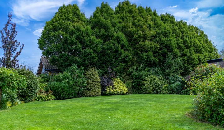 Foto 43 van Herman Buismanlaan 6