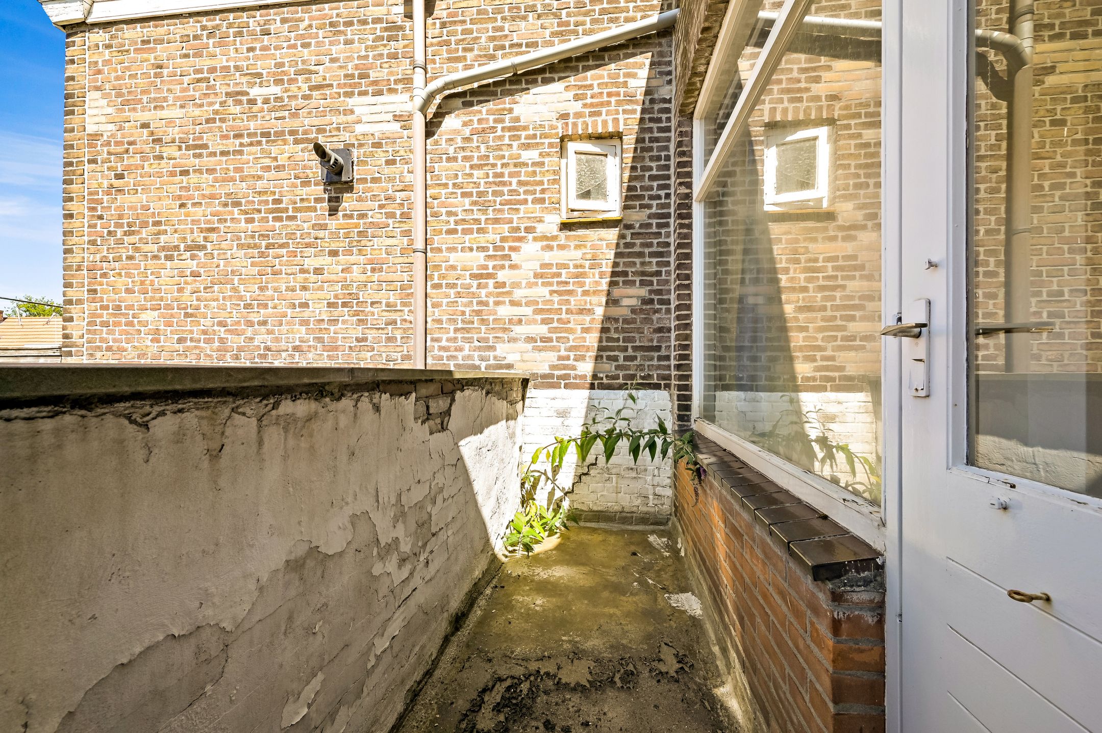 Photo 12 of Ternatestraat 101