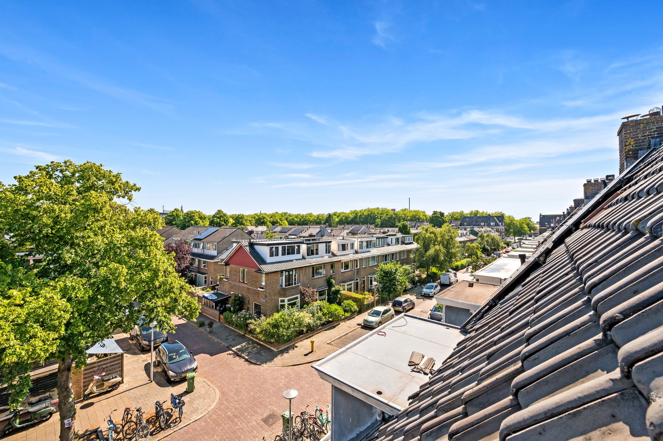 Photo 18 of Ternatestraat 101