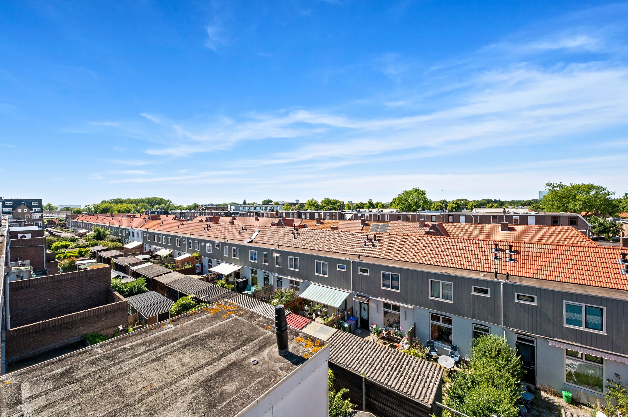 Photo 36 of Ternatestraat 101