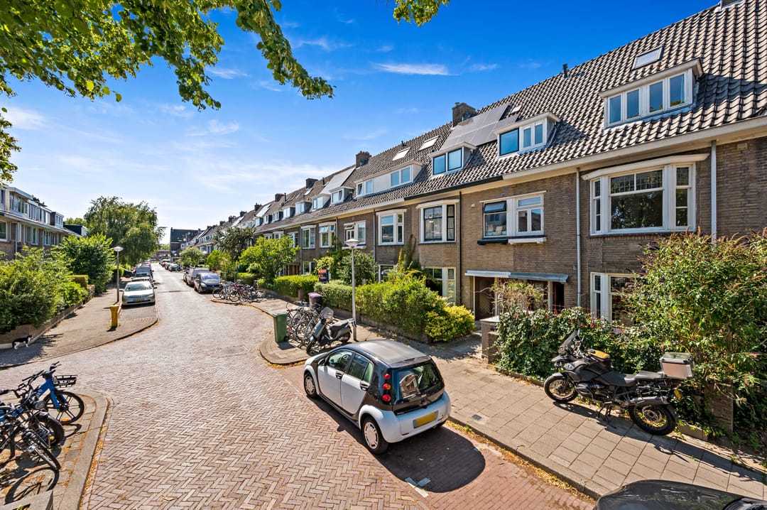 Photo 37 of Ternatestraat 101