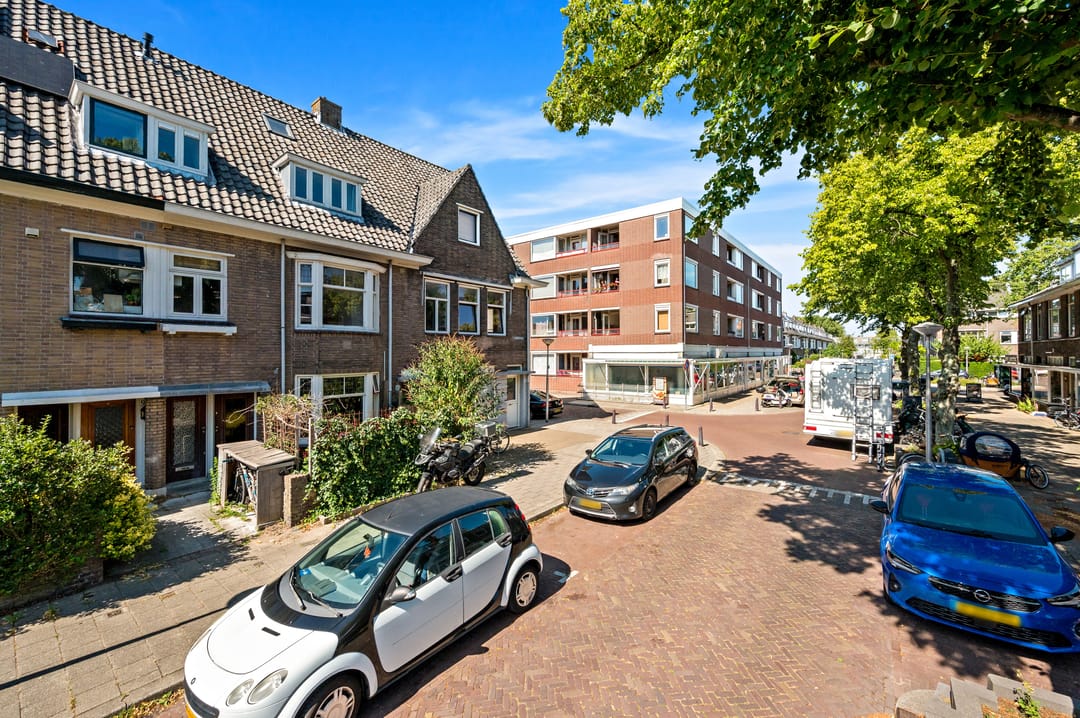 Photo 38 of Ternatestraat 101