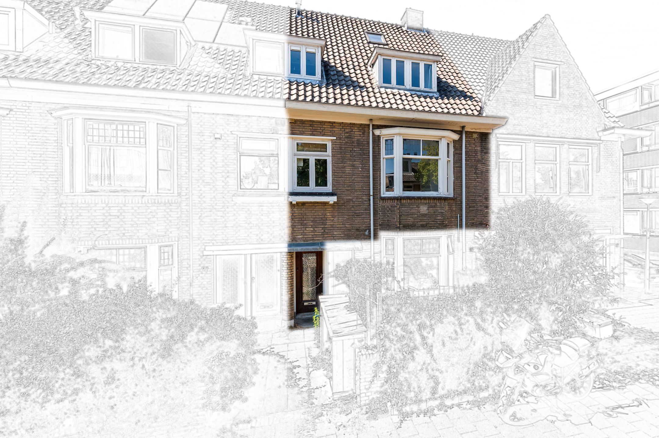 Photo 39 of Ternatestraat 101