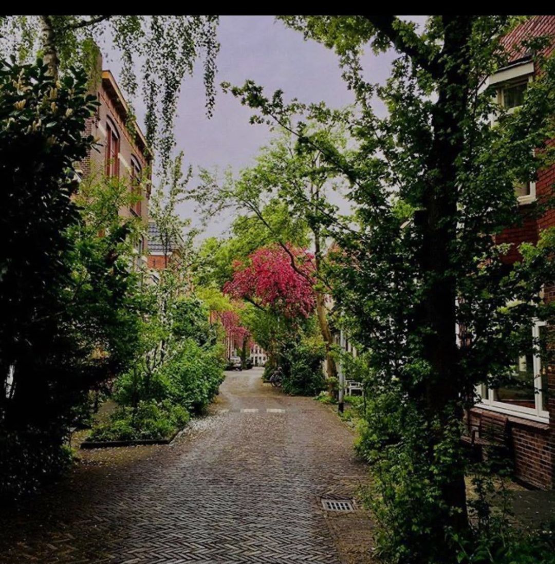 Photo 31 of Grote Appelstraat 10