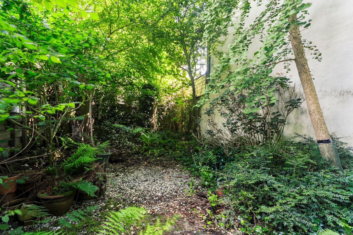 Foto 29 van Plantage Muidergracht 29-A