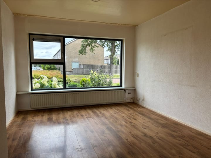 Foto 2 van Botter 20