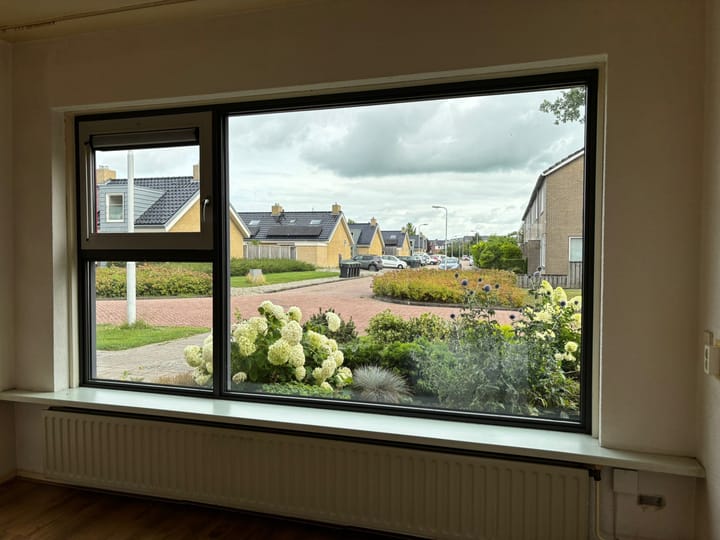 Foto 7 van Botter 20