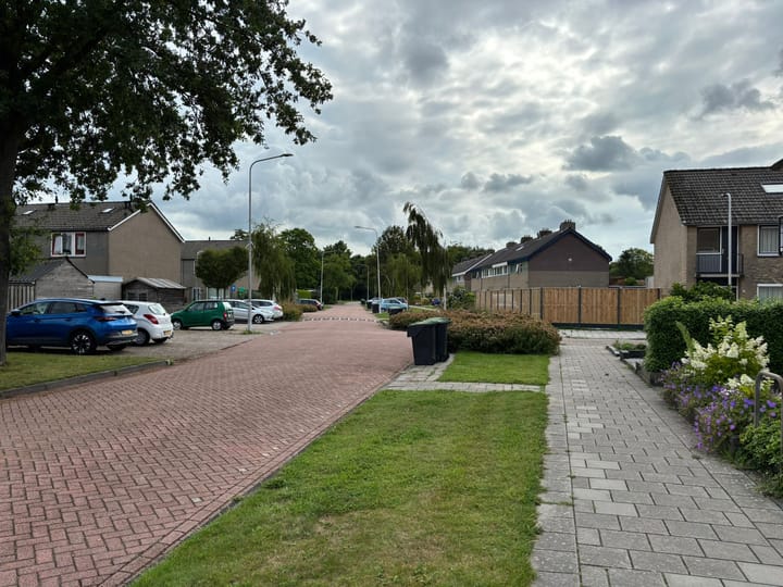 Foto 28 van Botter 20