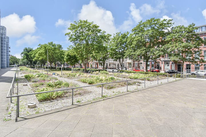 Foto 39 van Cornelis de Wittlaan 38