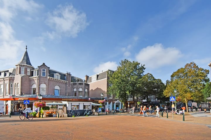 Foto 45 van Cornelis de Wittlaan 38