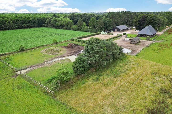 Schapendijk 8-A main image