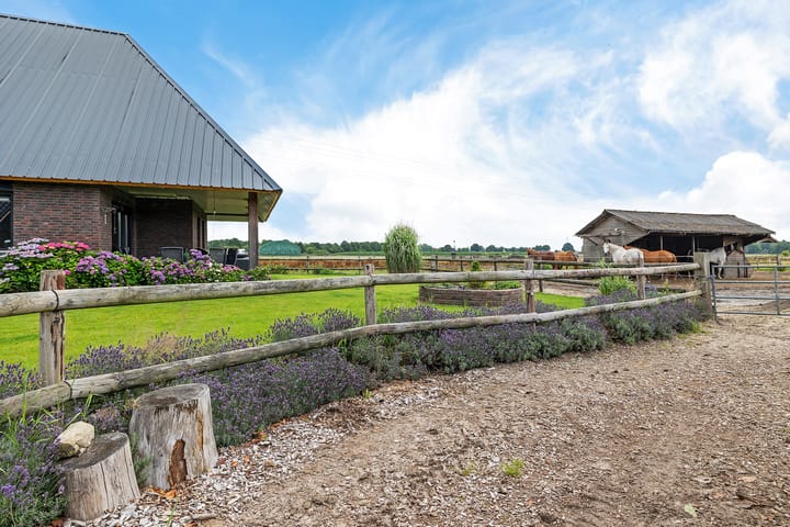 Photo 38 of Schapendijk 8-A