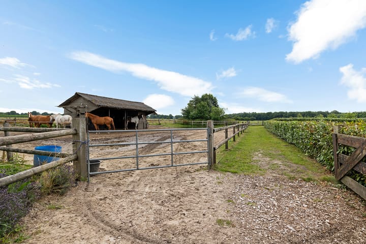 Photo 39 of Schapendijk 8-A