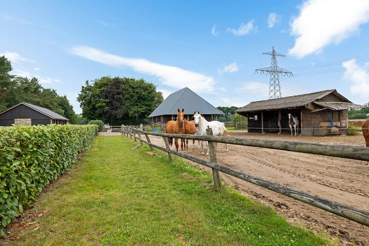 Photo 40 of Schapendijk 8-A