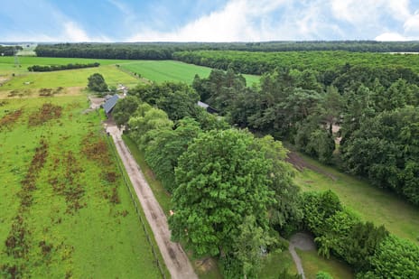 Schapendijk 8-A tertiary image