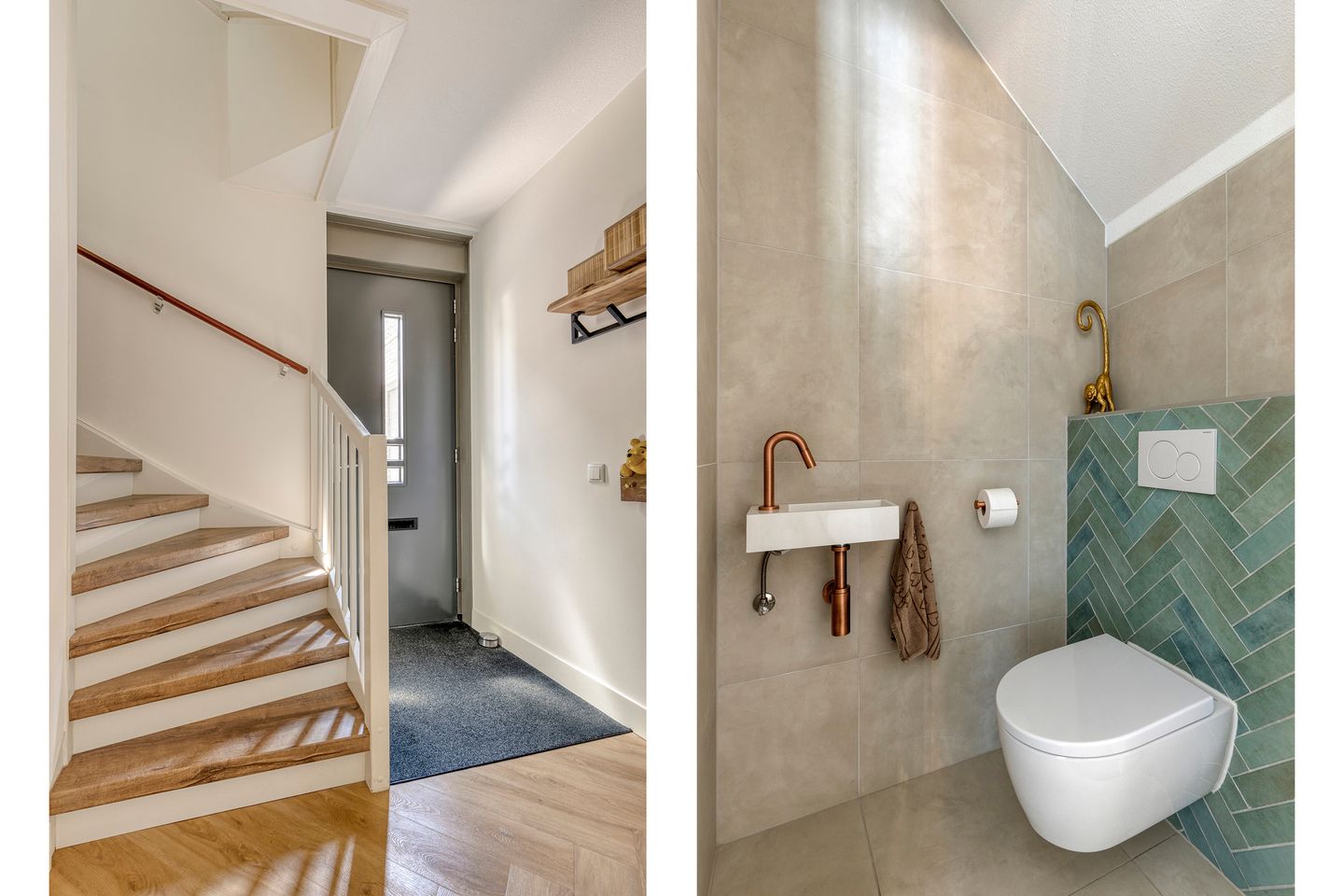 Photo 5 of Tijgeroog 11