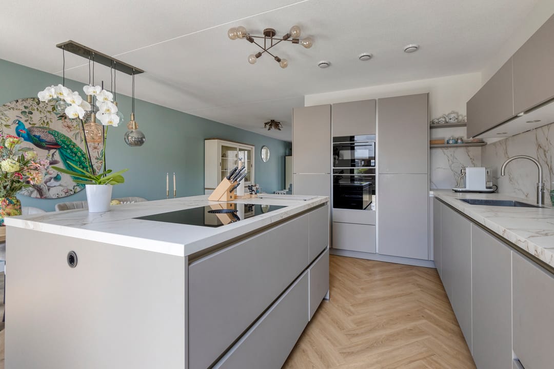 Photo 13 of Tijgeroog 11