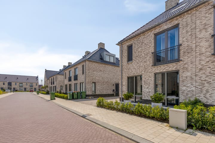 Foto 34 van Tijgeroog 11