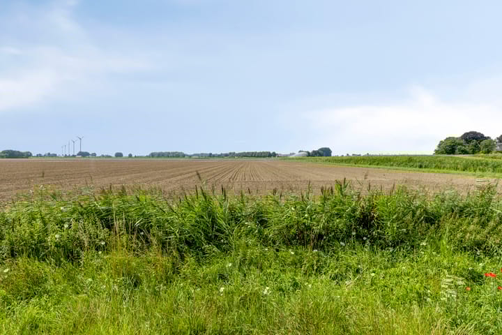 Foto 35 van Tijgeroog 11