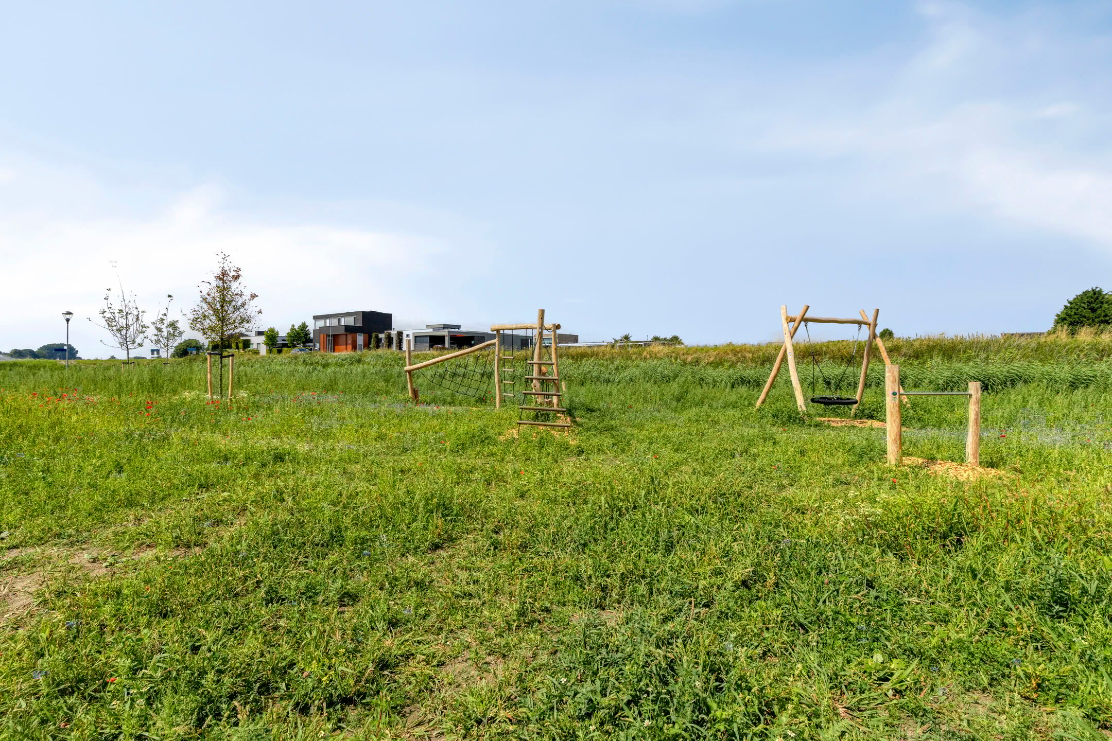 Photo 36 of Tijgeroog 11