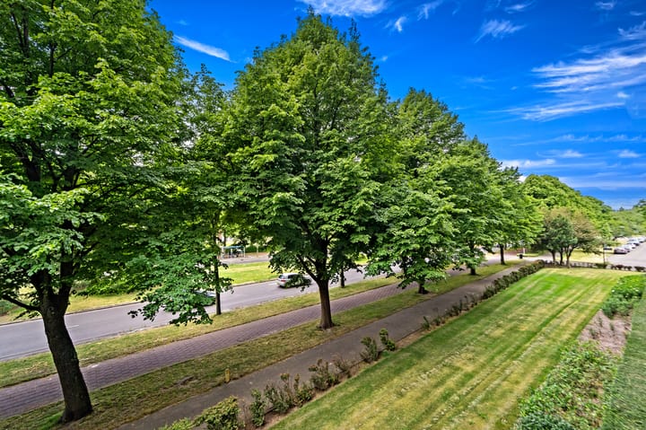 Foto 17 van Thomas Jeffersonlaan 535