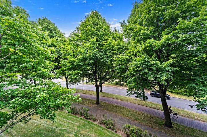 Foto 18 van Thomas Jeffersonlaan 535