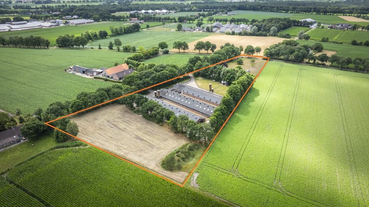 Foto 7 van Kattevlaas 7