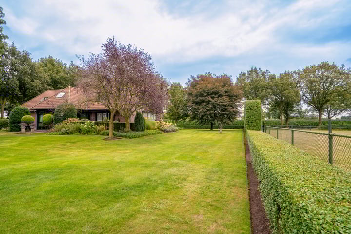 Foto 40 van Kattevlaas 7