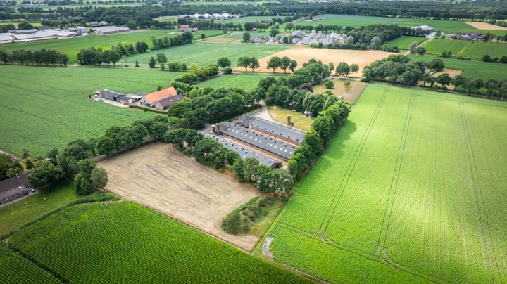 Foto 45 van Kattevlaas 7