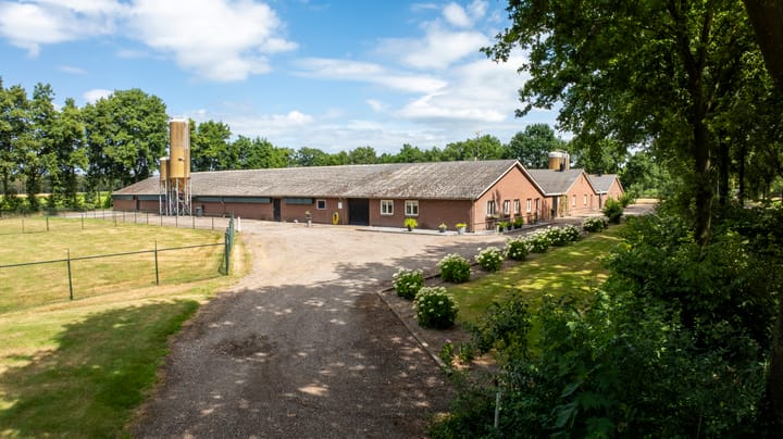 Foto 46 van Kattevlaas 7