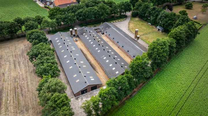 Foto 47 van Kattevlaas 7