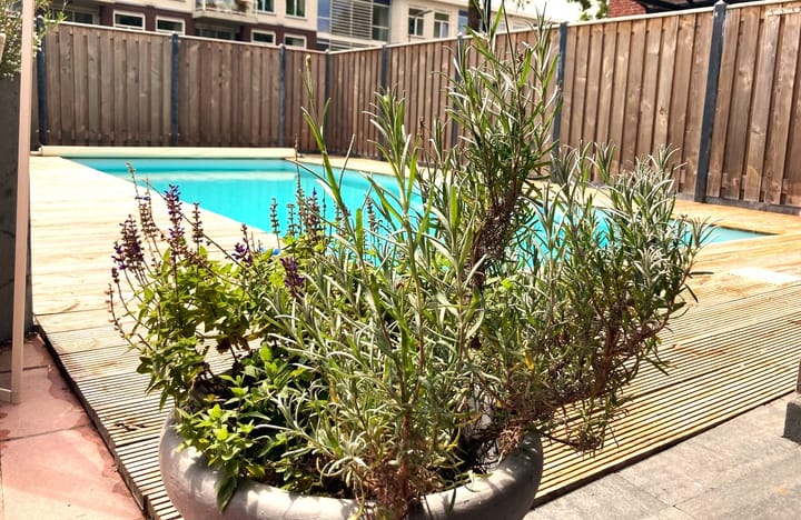 Foto 76 van Vrijheidsplein 4