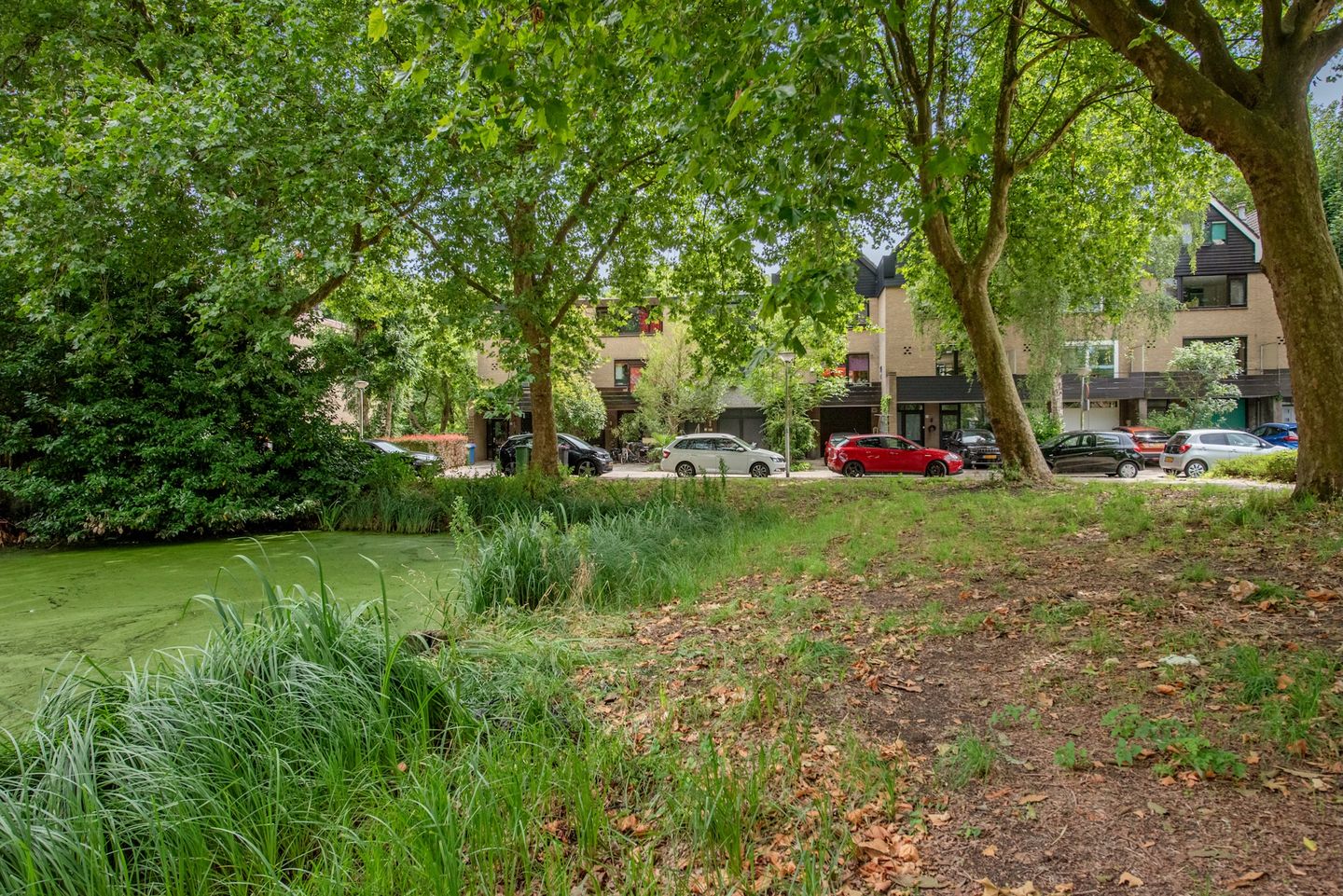 Foto 35 van Antoon Coolenlaan 45