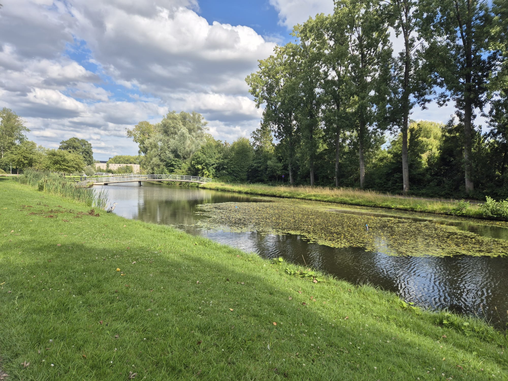 Foto 18 van Fazantstraat 94-A