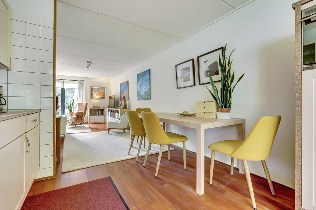 Foto 8 van Paladijnenweg 61