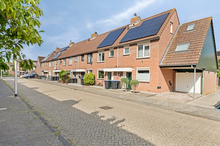 Foto 3 van Schaduwgras 6