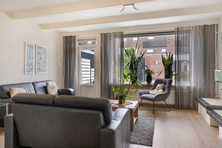 Foto 6 van Schaduwgras 6