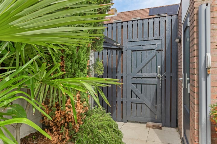 Foto 27 van Schaduwgras 6